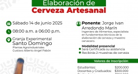  Taller de Elaboración de Cerveza Artesanal